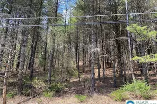 2 Haney Rd, Polk Twp, PA 18058 - Photo 6