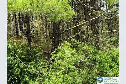 2 Haney Road, Polk Twp, PA 18058 - Photo 12