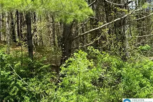 2 Haney Rd, Polk Twp, PA 18058 - Photo 12