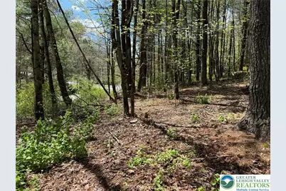 2 Haney Road, Polk Twp, PA 18058 - Photo 10