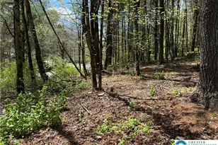 2 Haney Rd, Polk Twp, PA 18058 - Photo 10