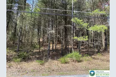 2 Haney Road, Polk Twp, PA 18058 - Photo 1