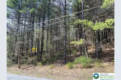 2 Haney Road, Polk Twp, PA 18058 - Photo 2