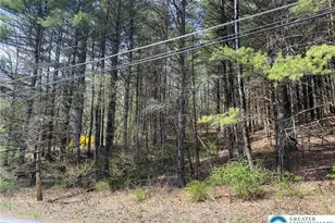 2 Haney Rd, Polk Twp, PA 18058 - Photo 2