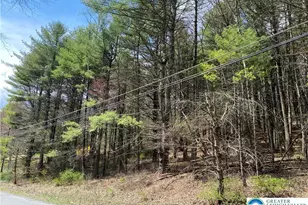 2 Haney Rd, Polk Twp, PA 18058 - Photo 4