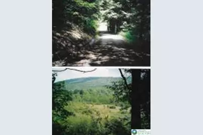 Pantherlick Road, Other, PA 18846 - Photo 1