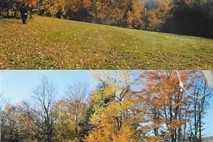Pantherlick Rd, Other, PA 18846 - Photo 2