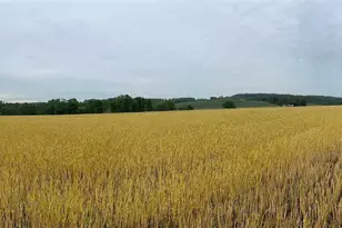 7111 Flint Hill Rd, Lynn Township, PA 18066 - Photo 2