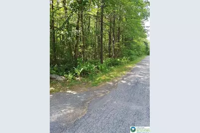 N Sycamore & Lauan Lane #B193 & B194, Penn Forrest, PA 18229 - Photo 2