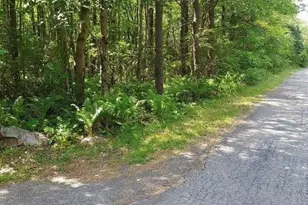 N Sycamore & Lauan Ln, Penn Forrest, PA 18229 - Photo 2