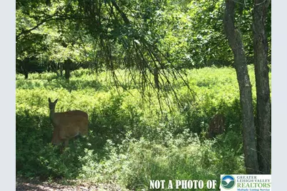 489 Redwood Drive, Penn Forrest, PA 18229 - Photo 1