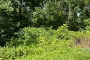 80 Route 519, Huntingdon Valley, PA 08865 - Photo 4