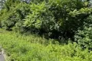 80 Route 519, Huntingdon Valley, PA 08865 - Photo 2