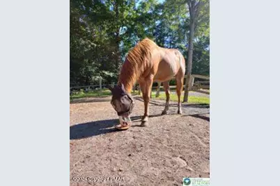 Lot 151 Bear Drive, Pike, PA 18324 - Photo 4