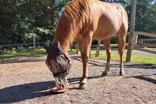 Lot 151 Bear Dr, Pike, PA 18324 - Photo 4