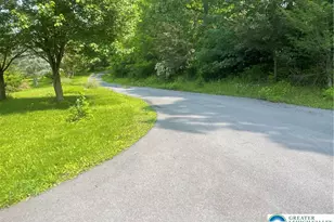 459 Mt Pleasant Rd, Washington Twp, PA 18013 - Photo 86