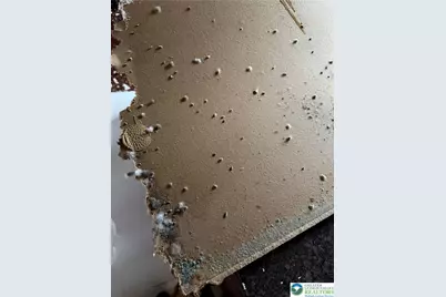 459 Mount Pleasant Road, Washington Twp, PA 18013 - Photo 14