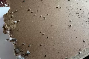 459 Mt Pleasant Rd, Washington Twp, PA 18013 - Photo 14