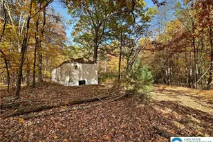 228 Victory Ln, Jackson Twp, PA 18360 - Photo 6