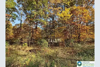 228 Victory Lane, Jackson Twp, PA 18360 - Photo 10