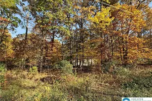 228 Victory Ln, Jackson Twp, PA 18360 - Photo 10