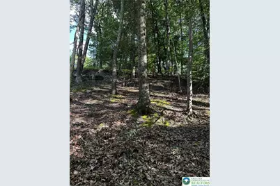 September Circle #Lot 46, East Stroudsburg, PA 18301 - Photo 6