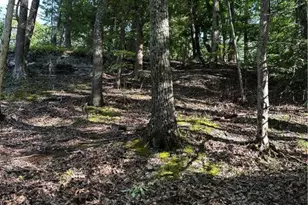 September Circle, East Stroudsburg, PA 18301 - Photo 6