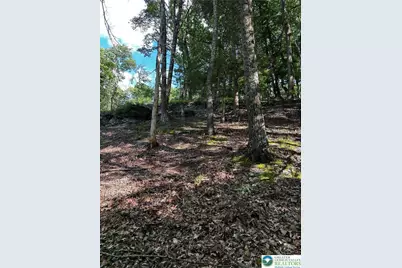 September Circle #Lot 46, East Stroudsburg, PA 18301 - Photo 8