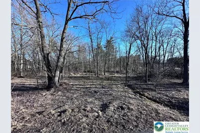 Walnut Drive, Lehigh Township, PA 18038 - Photo 1