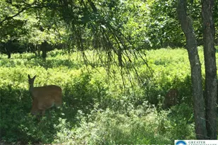 2040 Stony Mountain Rd, Penn Forrest, PA 18210 - Photo 1