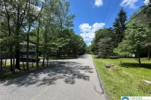 0 Hunter Ln, Penn Forrest, PA 18210 - Photo 6