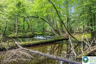 1079 Marshalls Creek Rd, Middle Smithfield, PA 18302 - Photo 34