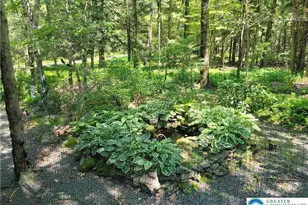 2048 Beaver Run Rd, Pocono Lake, PA 18347 - Photo 22