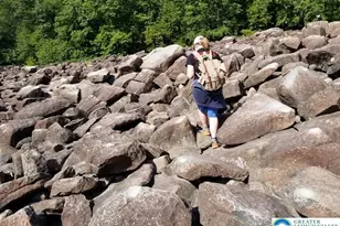 1025 Cricket Ln, Tobyhanna Twp, PA 18334 - Photo 36