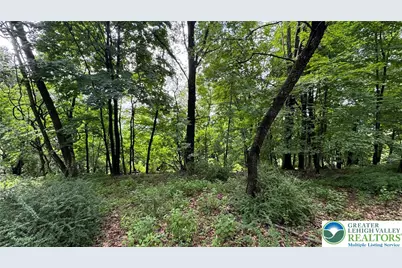 305 Shawnee Avenue, Easton, PA 18042 - Photo 4