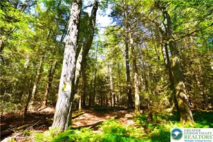 N Church and Buck Mountain Rd, Lehigh Twp, PA 18255 - Photo 6