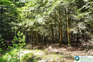 N Church and Buck Mountain Rd, Lehigh Twp, PA 18255 - Photo 4