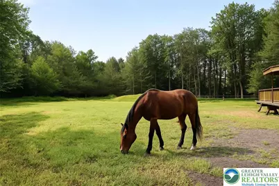 343 High Country Drive, Tunkhannock Twp, PA 18610 - Photo 4