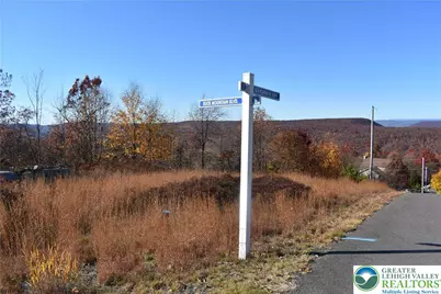 Buck Mountain Boulevard, Luzerne, PA 18202 - Photo 10