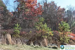 Buck Mountain Blvd, Luzerne, PA 18202 - Photo 4