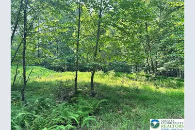 Private Drive #1C, Price Twp, PA 18332 - Photo 4