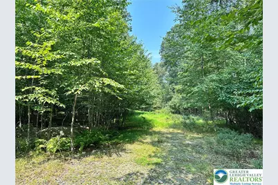 Private Drive #2C, Price Twp, PA 18332 - Photo 1