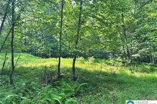 Private Dr, Price Twp, PA 18332 - Photo 4