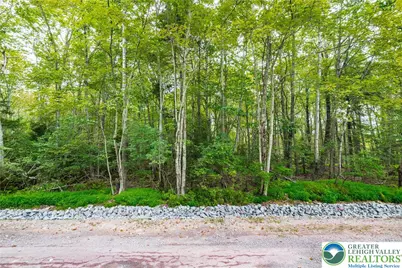812 Beaver Run Road, Tobyhanna Twp, PA 18347 - Photo 4