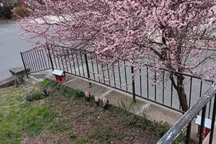 1225 SW Walnut St, Allentown City, PA 18102 - Photo 14