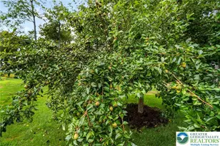 328 High Country Dr, Tunkhannock Twp, PA 18610 - Photo 62