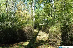 465 Pensyl Creek Rd, Stroudsburg, PA 18360 - Photo 44