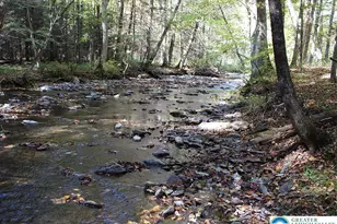 465 Pensyl Creek Rd, Stroudsburg, PA 18360 - Photo 42