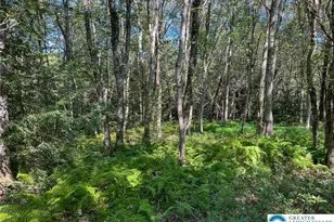 Drake Dr, Penn Forrest, PA 18229 - Photo 6