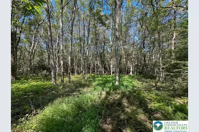 Drake Drive, Penn Forrest, PA 18229 - Photo 4